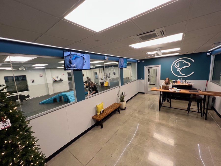 Collars Olathe lobby with live-camera TVs streaming the daycare floor in real time