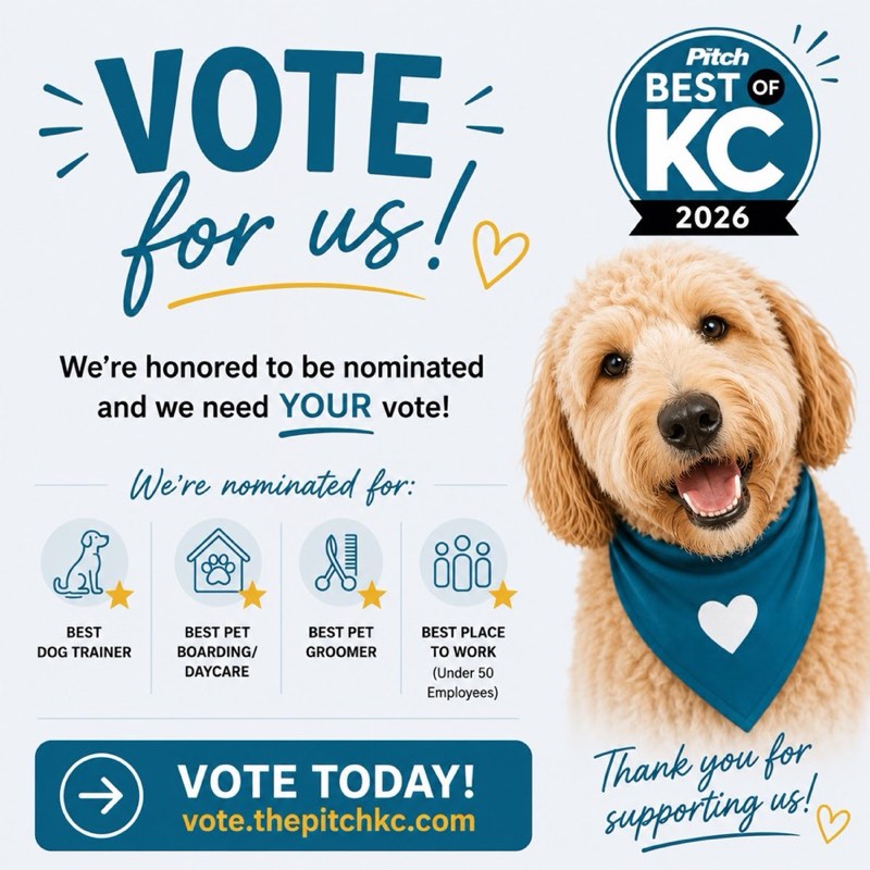 Vote for Collars Dog Resort in The Pitch Best of KC 2026 — nominated for Best Dog Trainer, Best Pet Boarding/Daycare, Best Pet Groomer, and Best Place to Work (Under 50 Employees)